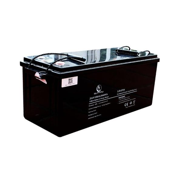 Bat Litio 25.6 (2)